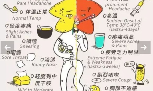 尼美颗粒是退烧药吗-尼美颗粒说明书-专业尼美颗粒是退烧药吗平台-尼美素颗粒功效与作用