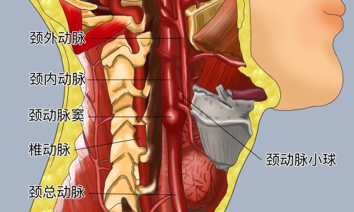 尼美颗粒的用法和用量-尼美颗粒说明书-专业尼美颗粒是退烧药吗平台-尼美素颗粒功效与作用
