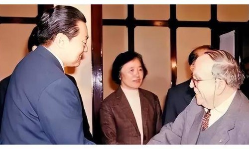 尼美颗粒是退烧药吗-尼美颗粒说明书-专业尼美颗粒是退烧药吗平台-尼美素颗粒功效与作用
